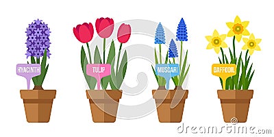 Spring flowers with labels Vector Illustration