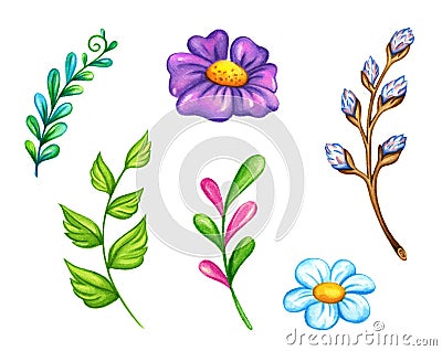 Spring flowers and leafs watercolor illustration. Stock Photo