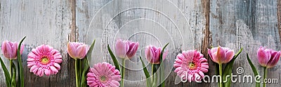 Spring flowers on shabby wood Stock Photo