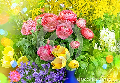 Spring flowers. Raninculus, campanula, forsythia, tulips Stock Photo