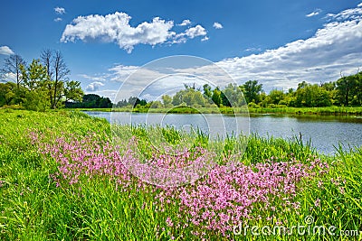 Spring flowers river landscape blue sky clouds countryside Stock Photo