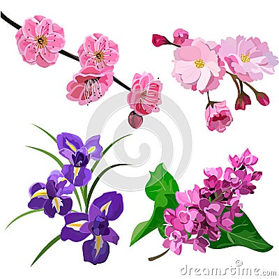 Spring flowers set Vector Illustration