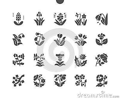 Spring flowers. Snowdrop and petunia. Vector Illustration