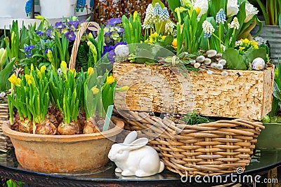 Spring flowers sold on the street. Flowers in ceramic pots. Easter fair on the streets of Vienna Stock Photo