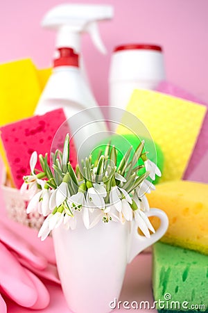 Spring flowers and and various detergents for cleaning the house on a pink background. Concept of spring cleaning. Close-up. Stock Photo