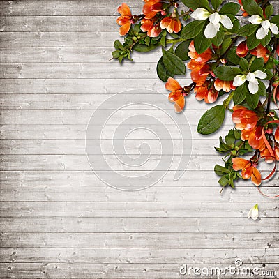 Spring flowers on vintage wood background Stock Photo