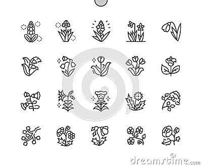 Spring flowers Well-crafted Pixel Perfect Vector Thin Line Icons 30 2x Grid for Web Graphics and Apps Vector Illustration