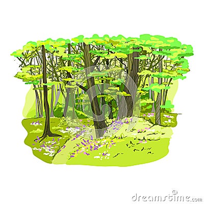 Spring forest full of flowers and fresh green grass Vector Illustration