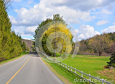 Spring forest landscape Bromont Stock Photo