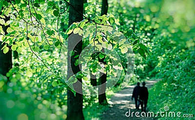 Spring in forest, two elderly persons walks Stock Photo