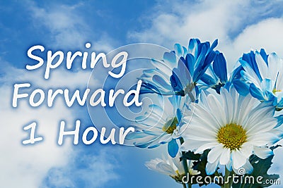 Spring forward 1 hour daylight savings time message with blue daisies Stock Photo