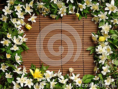 Spring Frame Stock Photo