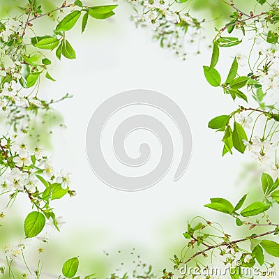 Spring frame of flowers and green leaves Stock Photo