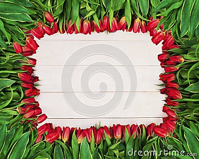 Spring Frame of Red Tulip Flowers Stock Photo