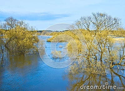 Spring freshet Stock Photo