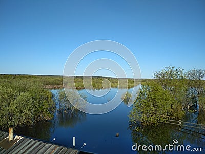 A spring freshet on a small forest river. Location: Komi republic Russia Stock Photo