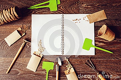 spring garden flat lay with seeds in handmade envelopes Stock Photo