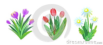 Spring garden flower bouquet set vector background with chamomile, tulip, crocus. Graphic illustration of nature bush Vector Illustration