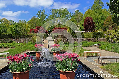 Formal Garden Stock Photo