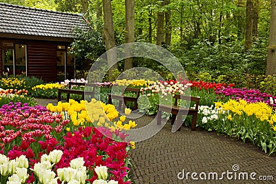 Spring garden Keukenhof, Holland Stock Photo