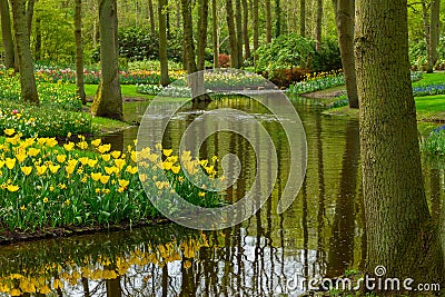 Spring garden Keukenhof, Netherlands Stock Photo