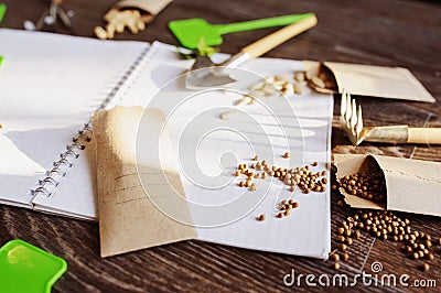 Spring garden preparation for sowing vegetable seeds and planning Stock Photo