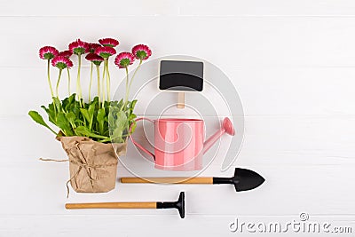 Spring Garden Works Concept. Gardening tools, flowers in pots and watering can on white table. flat lay Stock Photo