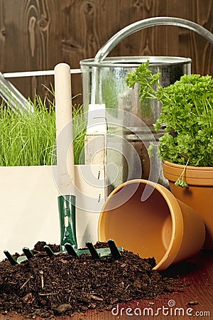 Spring gardening Stock Photo