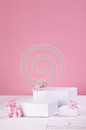 Spring gentle mockup with three white podiums for showing cosmetic product with hyacinth flowers and soft light pastel pink. Stock Photo