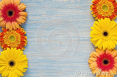 Spring gerbera flowers on blue wooden table background. Copy space Stock Photo