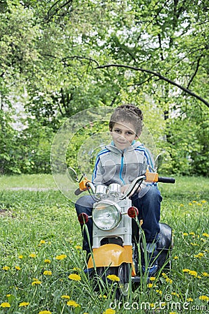 In the spring on a glade where there are dandelions sitting on a Stock Photo