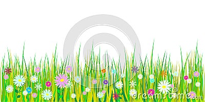 Spring grass and flowers borders. Easter decoration with spring grass and meadow flowers. Isolated on white background. Vector Vector Illustration