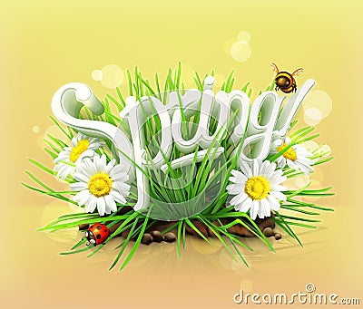 Spring, grass, flowers of camomile and ladybug Vector Illustration