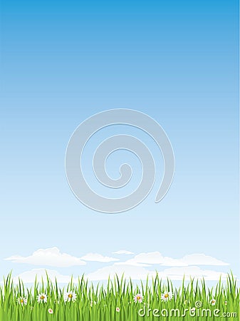 Spring grass and flowers. Seamless illustration. Vector Illustration