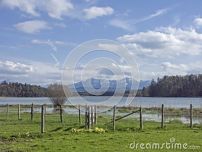 Spring on the Great lake Ostersee Stock Photo