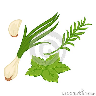 Spring greenery with garlic, green onion and herbs Vector Illustration