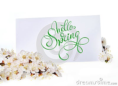 Spring greeting card with white flowers and text Hello Spring. Calligraphy lettering Stock Photo