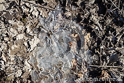 Spring ground covered with thawing snow Stock Photo