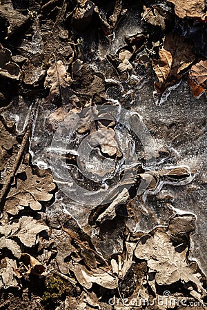 Spring ground covered with thawing snow Stock Photo