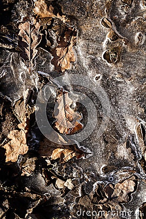 Spring ground covered with thawing snow Stock Photo