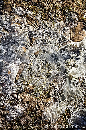 Spring ground covered with thawing snow Stock Photo