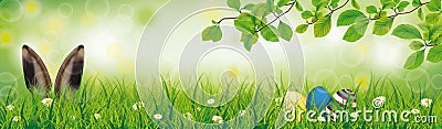 Spring Hare Easter Eggs Grass Beech Twigs Header Stock Photo