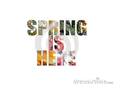 Spring is here words with pink and white flowers in the background isolated Stock Photo