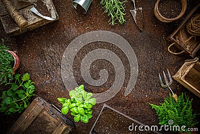 Spring in the hobby garden Stock Photo