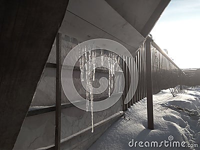 Spring icicles from melting ice on a fence in Siberia Stock Photo