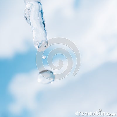 Spring icicles Stock Photo