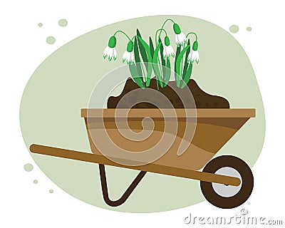 Spring illustration, garden cart filled with earth with cute snowdrops. Print, postcard Vector Illustration