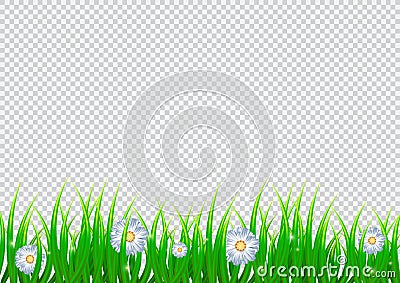 Spring isolated background with chamomile flowers and realistic grass. April. Vector illustration design Stock Photo