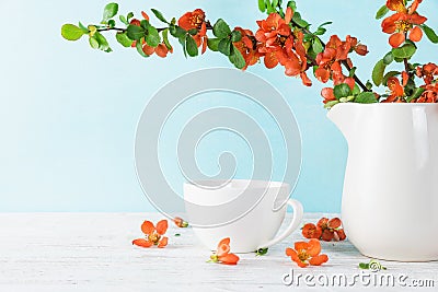 Spring japanese quince flowers with cup of tea on blue wooden background with copy space. still life Stock Photo