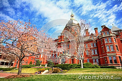 Spring at Johns Hopkins Stock Photo